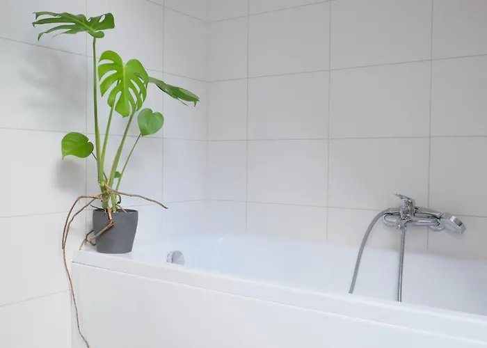 Casa de Férias Izerskie Miejsce Gierczyn